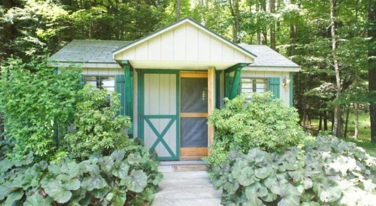 ac4966e1e84c027c41235d4812eb73c02ae2ccb9 768x421